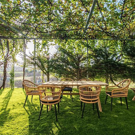 Mirtilo Apartment Oinofyta Εξωτερικό φωτογραφία