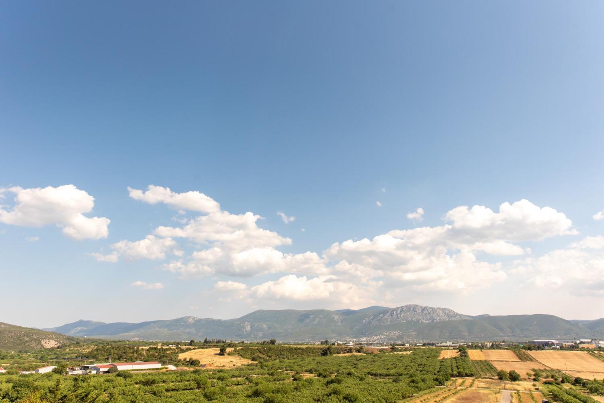 Mirtilo Apartment Oinofyta Εξωτερικό φωτογραφία